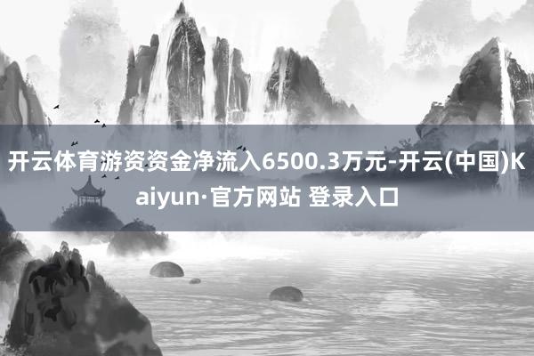 开云体育游资资金净流入6500.3万元-开云(中国)Kaiyun·官方网站 登录入口